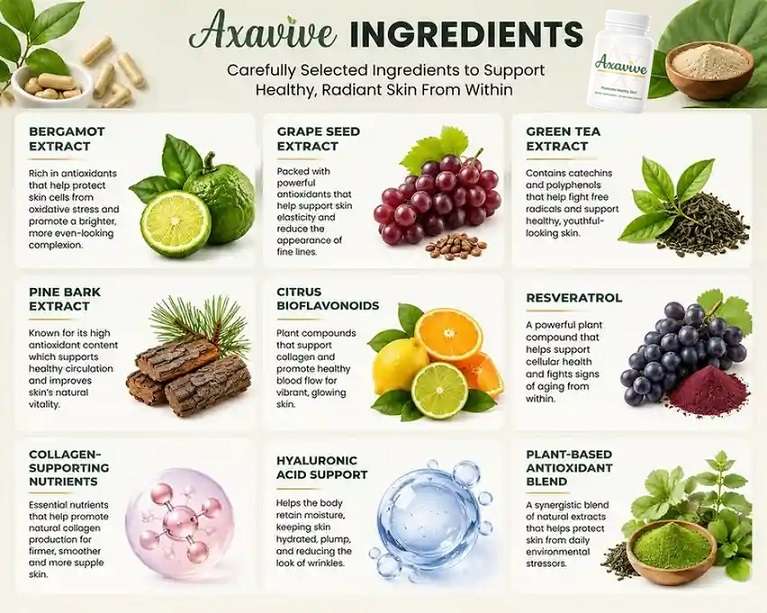 Axavive Ingredients
